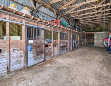 Maine Horse Farm - image 11