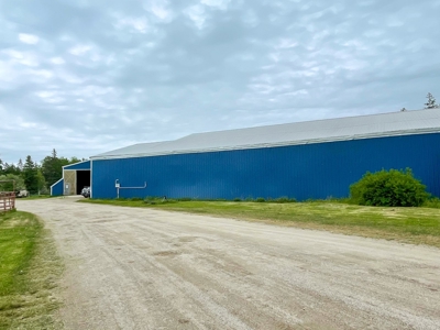 Maine Horse Farm - image 8