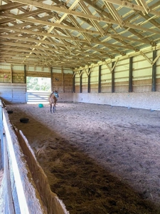 Maine Horse Farm - image 13