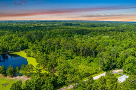 Large Acreage For Sale In Saint Augustine Florida - image 5