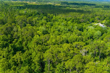 Large Acreage For Sale In Saint Augustine Florida - image 3