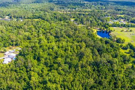 Large Acreage For Sale In Saint Augustine Florida - image 7