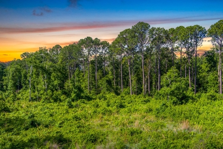 Large Acreage For Sale In Saint Augustine Florida - image 12