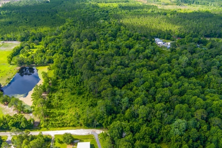 Large Acreage For Sale In Saint Augustine Florida - image 10