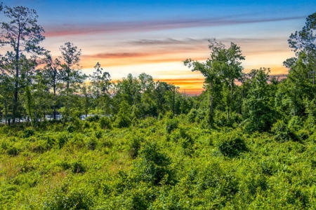 Large Acreage For Sale In Saint Augustine Florida - image 2