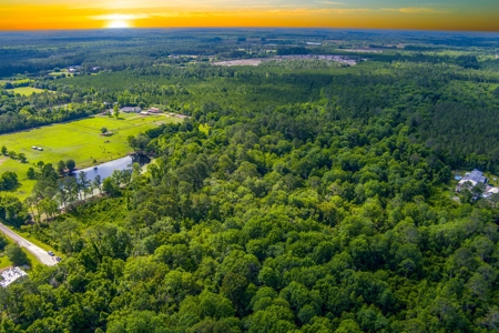 Large Acreage For Sale In Saint Augustine Florida - image 11