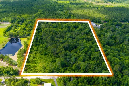 Large Acreage For Sale In Saint Augustine Florida - image 1
