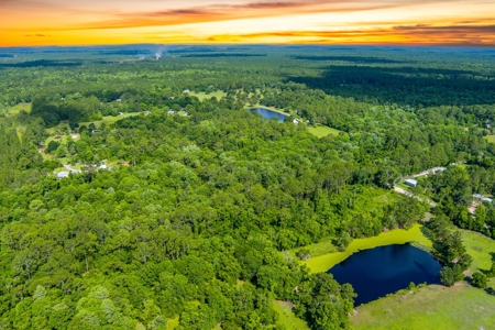 Large Acreage For Sale In Saint Augustine Florida - image 13