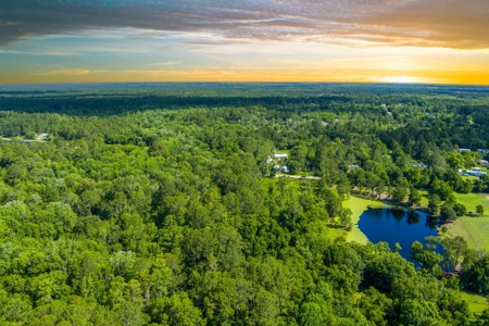 Large Acreage For Sale In Saint Augustine Florida - image 4