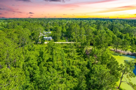 Large Acreage For Sale In Saint Augustine Florida - image 9