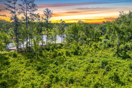 Large Acreage For Sale In Saint Augustine Florida - image 14