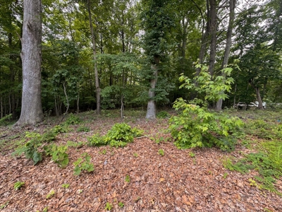 PENDING Offering #2 - Small Wooded Lot for Sale in Danville - image 1