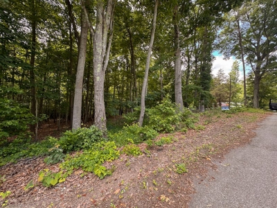 PENDING Offering #2 - Small Wooded Lot for Sale in Danville - image 2