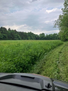 Land with Home for sale, Bath Co Kentucky - image 11