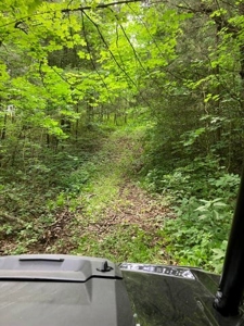 Land with Home for sale, Bath Co Kentucky - image 14