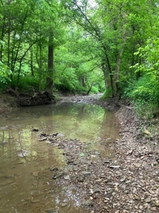 Land with Home for sale, Bath Co Kentucky - image 10