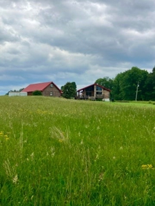 Land with Home for sale, Bath Co Kentucky - image 8