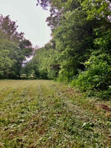 Land with Home for sale, Bath Co Kentucky - image 15