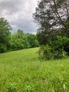 Land with Home for sale, Bath Co Kentucky - image 7