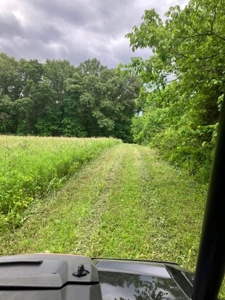 Land with Home for sale, Bath Co Kentucky - image 9