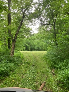 Land with Home for sale, Bath Co Kentucky - image 17