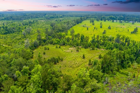 Large Hunting Acreage For Sale In North Florida - image 2