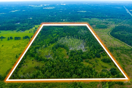 Large Hunting Acreage For Sale In North Florida - image 1