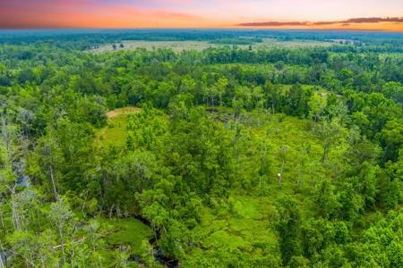Large Hunting Acreage For Sale In North Florida - image 3