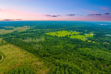 Large Hunting Acreage For Sale In North Florida - image 16