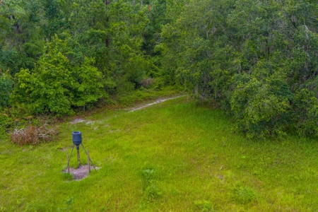 Large Hunting Acreage For Sale In North Florida - image 10