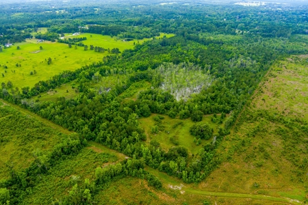 Large Hunting Acreage For Sale In North Florida - image 17