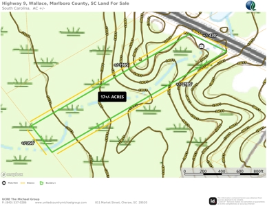 17+/- Acres, Wallace, Marlboro County, SC Land For Sale - image 9