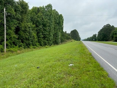 17+/- Acres, Wallace, Marlboro County, SC Land For Sale - image 2