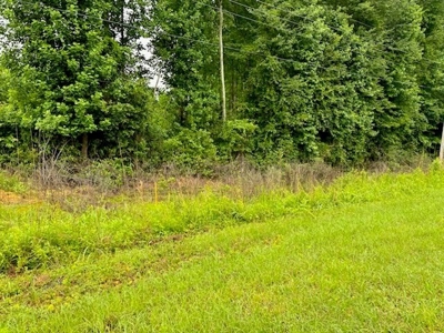 17+/- Acres, Wallace, Marlboro County, SC Land For Sale - image 6