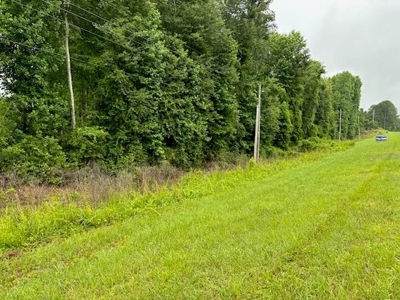 17+/- Acres, Wallace, Marlboro County, SC Land For Sale - image 1