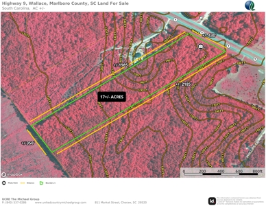 17+/- Acres, Wallace, Marlboro County, SC Land For Sale - image 7
