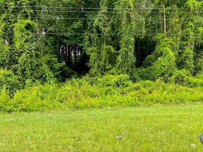 17+/- Acres, Wallace, Marlboro County, SC Land For Sale - image 4