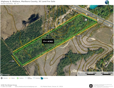 17+/- Acres, Wallace, Marlboro County, SC Land For Sale - image 10