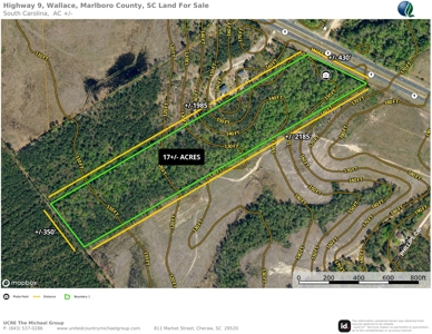17+/- Acres, Wallace, Marlboro County, SC Land For Sale - image 8