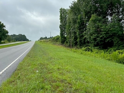 17+/- Acres, Wallace, Marlboro County, SC Land For Sale - image 3