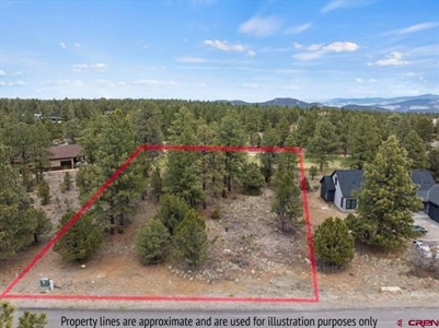 Land On the Golf Course For Sale in Ridgeway, Colorado - image 1