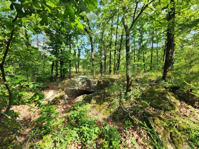 Recreational Property - National Forest Area - image 5