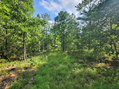Recreational Property - National Forest Area - image 8