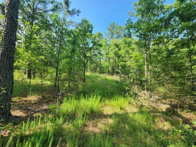 Recreational Property - National Forest Area - image 9
