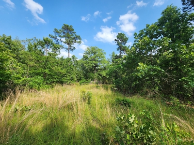 Recreational Property - National Forest Area - image 3