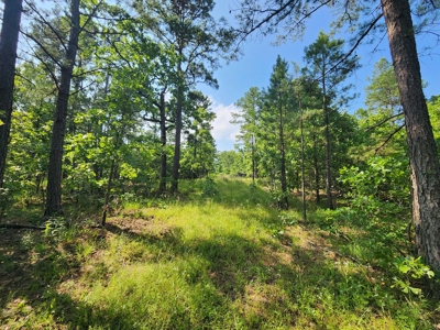 Recreational Property - National Forest Area - image 1