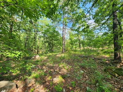 Recreational Property - National Forest Area - image 4