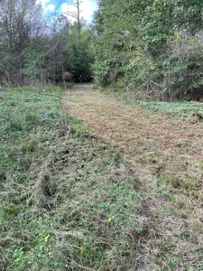 Trinity County Texas Hunting/Recreational Land For Sale - image 17
