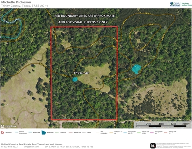 Trinity County Texas Hunting/Recreational Land For Sale - image 18