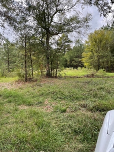 Trinity County Texas Hunting/Recreational Land For Sale - image 3